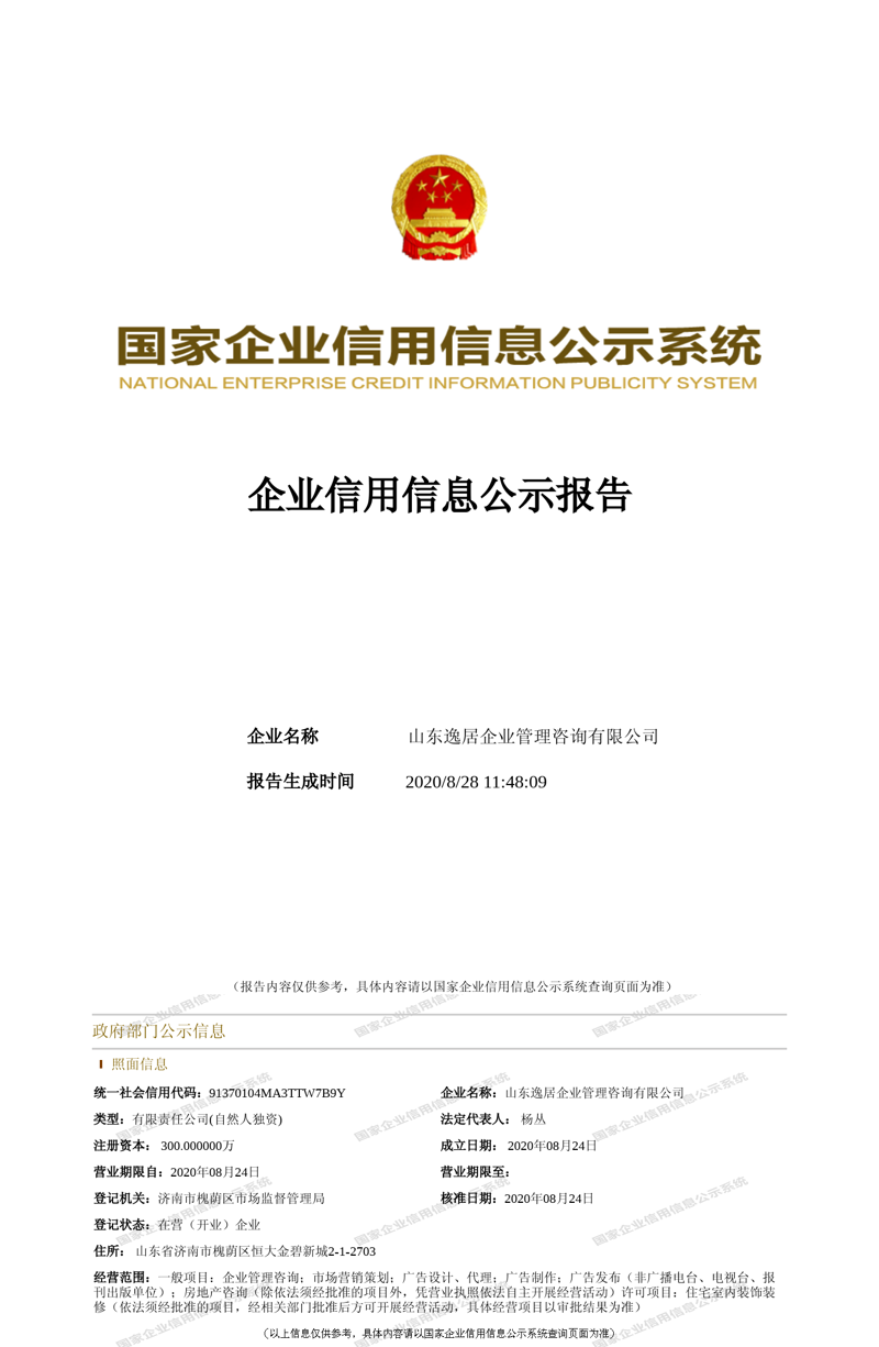 山东信息管理咨询